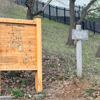 日和田山登山口🏔️