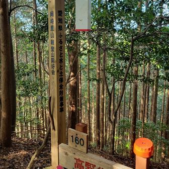 疲労困憊ながら高野御前山登頂⛰️(コチラが本日の最高所と思っていたので、ある程度の覚悟はしてきたつもりだけれど、その覚悟した以上にキツく感じた)

軽く休憩し、さてもぅ一踏ん張り🦵
との思いが空回り? この後、ルートを間違え降り始めてしまいムダに体力を消耗してしまう😱