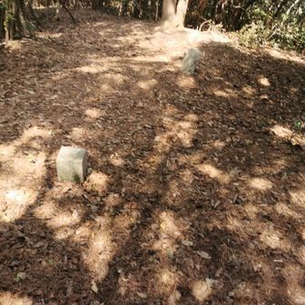 三角点付近
山頂はあまり広くない