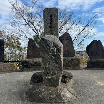 丹八山ピーク11m！低いね！