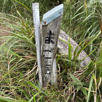 まご岳まで行ってみた
眺望はほぼ無い…山頂標識がなんだか可哀想な事になってます😢