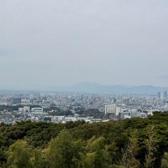 市街地を一望できる。