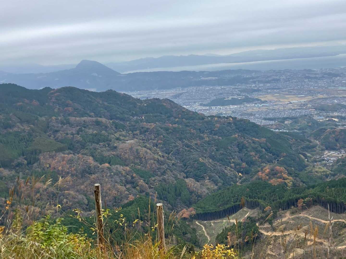 高崎山、今日も賑わってるかな