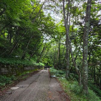 舗装路も長くて…