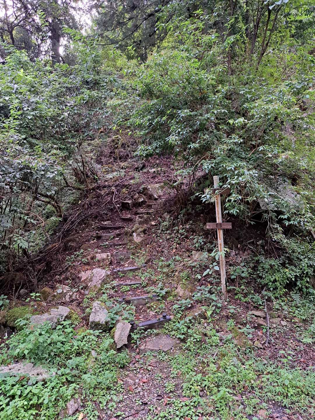 登山口