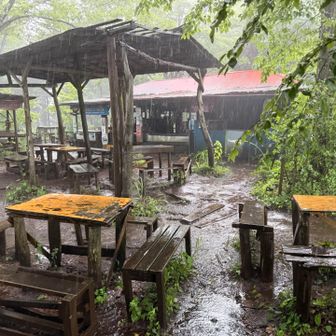 雨宿りを10分ほどしていたら、雨が小雨になり、止みそうになったので出発。小仏バス停への下山も考えたのですが、空を見ると既に明るくなってきている。城山を目指す事に。