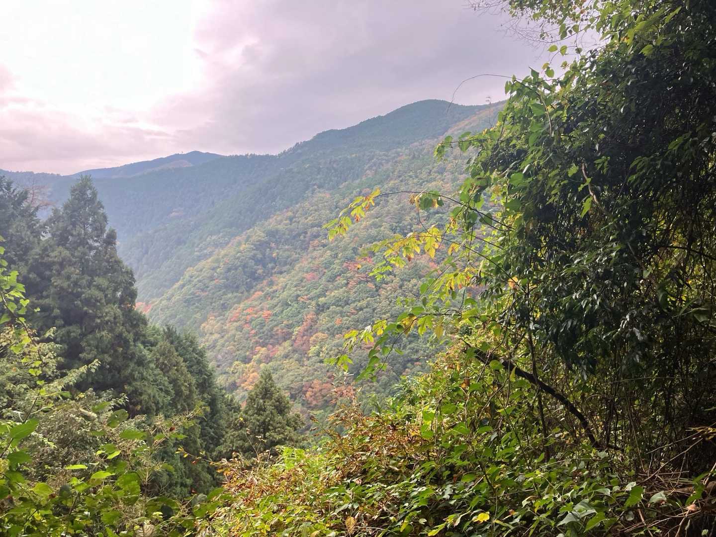 季節の変わり目に、ダイヤモンドトレールで岩湧山への写真