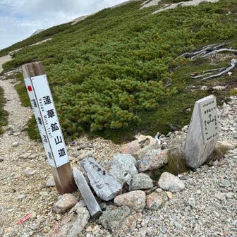 蓮華鉱山道で、左は近道？行きませんけど。