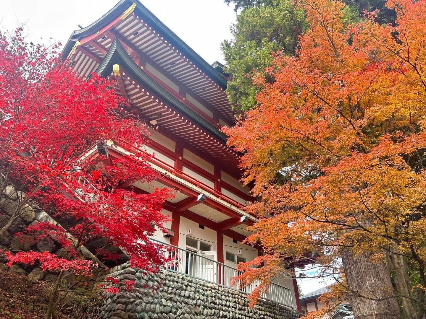 この色合い最高❤️