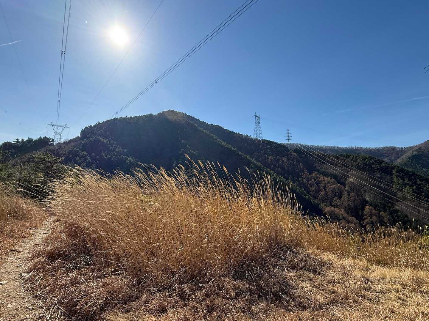霧訪山の稜線は生活に必要な送電線が多くありました。