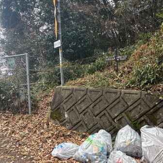 ココで　逆ルートで歩いている女性に出会う。