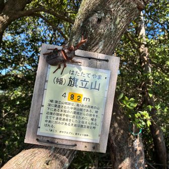 旗立山頂上に到着。
o(｀ω´ )o