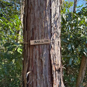 標識かな〜り小さい