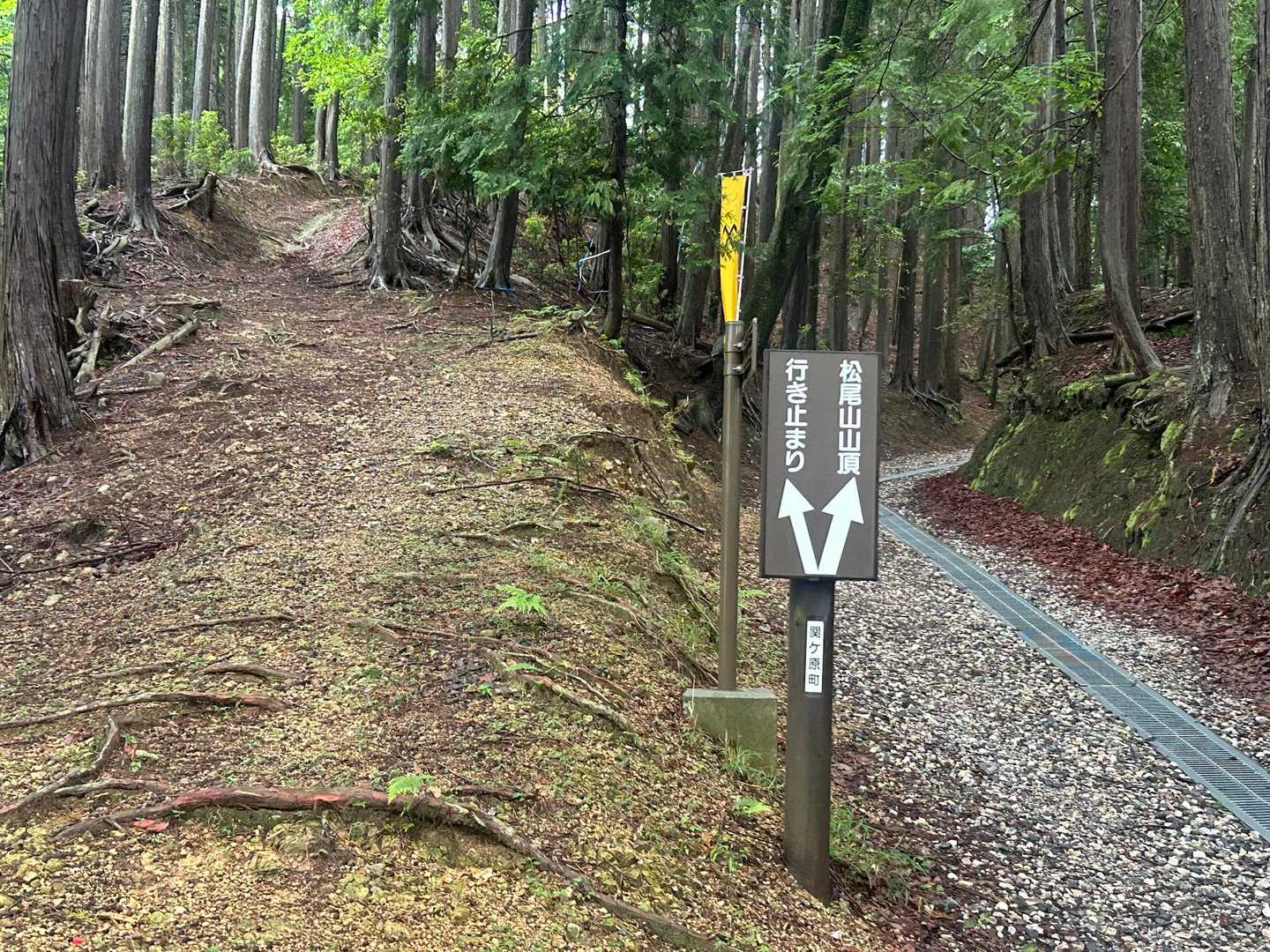 松尾山 往復コースの写真