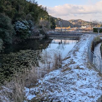 下山。こんなところも積雪してる。日が当たらないのだろうか