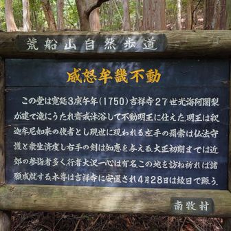 威怒牟畿不動