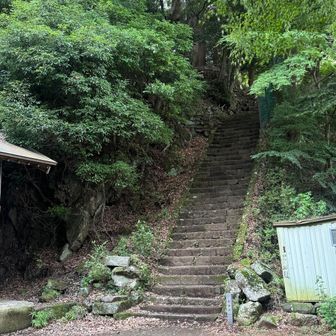 ひさびさに男坂から登ってみる。
