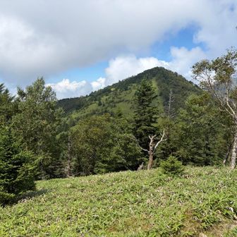 熊沢山