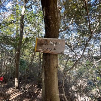 尾張白山に登頂⛰️
