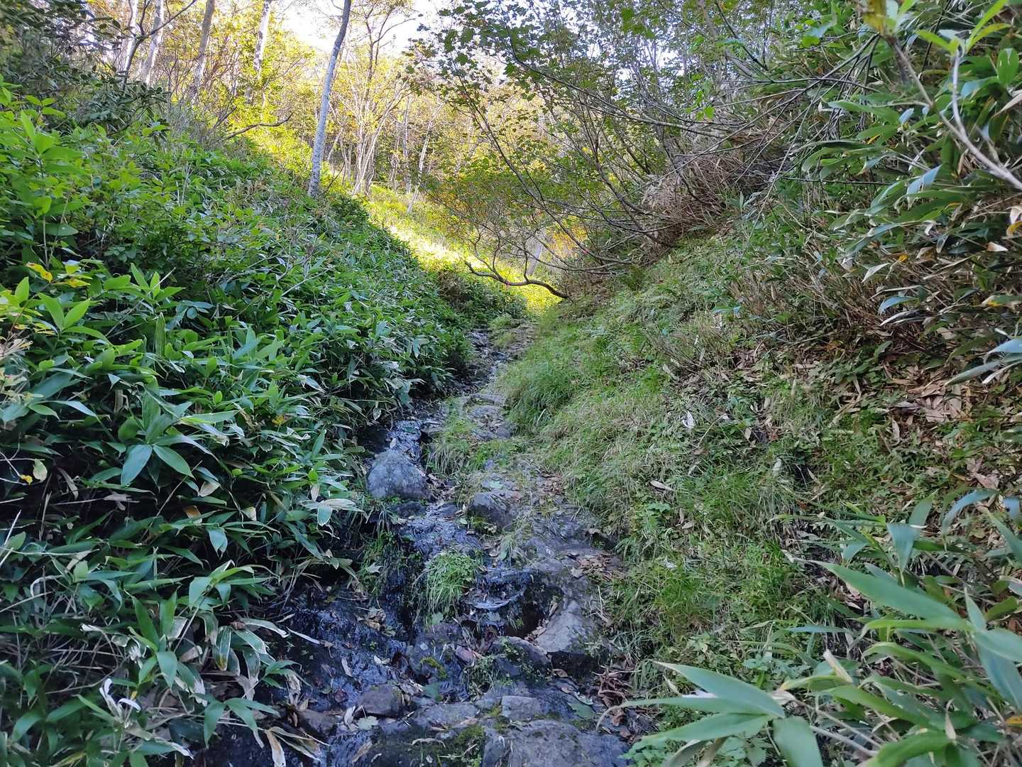 徐々に沢の水も少なくなってきて