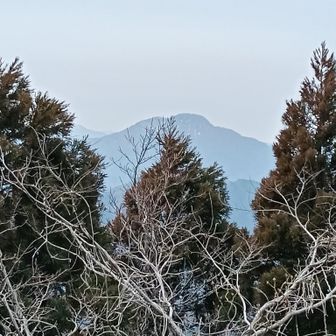 日野山も白山も杉が大きくなり見えなくなってしまった。
ここでパン１個と不知火のみかん1個の昼食にします。