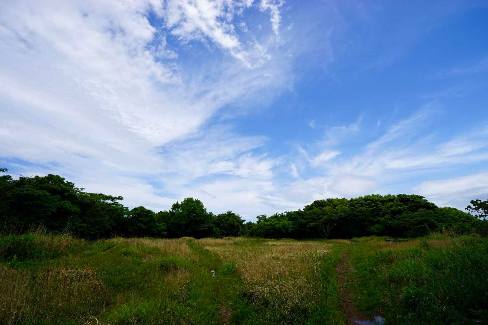 烽火台山⛰️
ここが一番広い⁈
