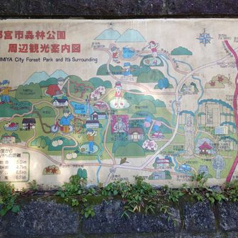 宇都宮市森林公園へ