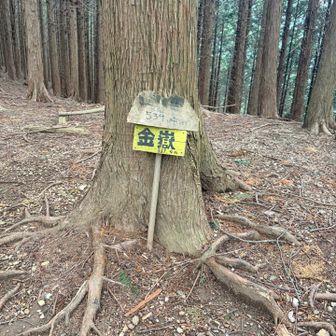 金嶽
眺望なし