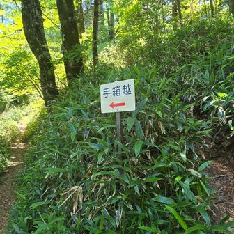 まずは左へ　右から下りてくる予定