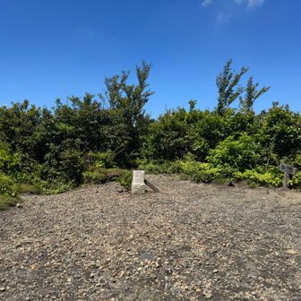 頂上独り占め
登山道でも、誰にも会わなかった
