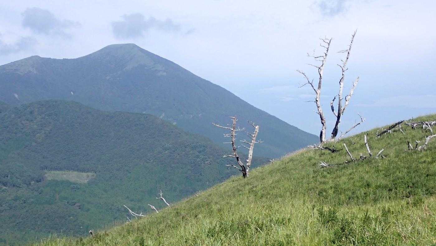 涌蓋山と２ショット。