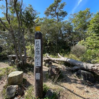 早い昼休憩してました。柿の種と大福餅は、エネルギー補給に最適！
