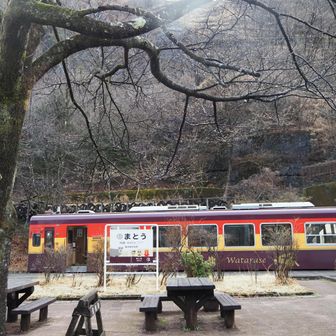 運転手さんがトイレ休憩してる間だけ
乗客はまた私ひとりですから😅