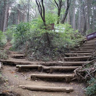 左の巻き道へ