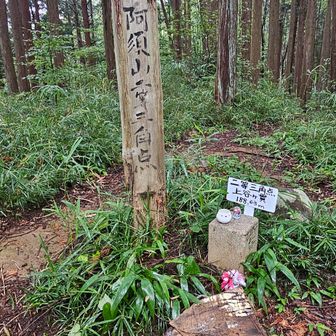 山頂