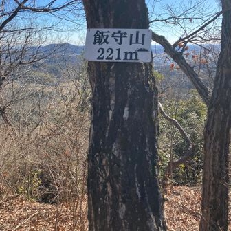 飯守山