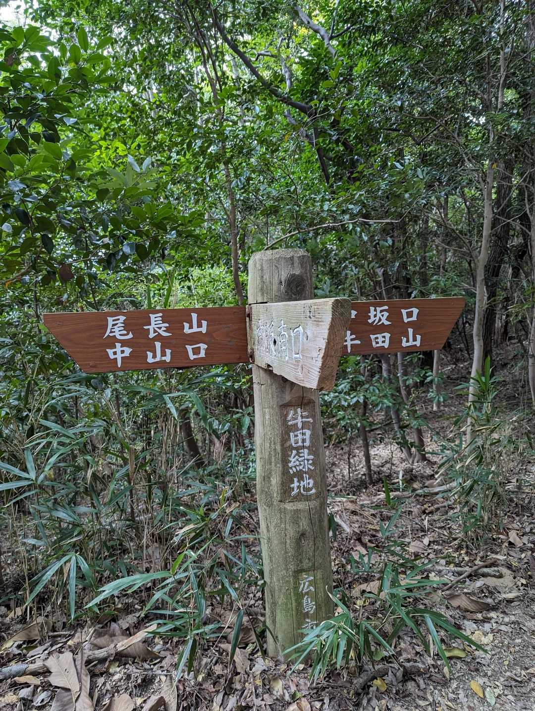 見立山-神田山-牛田山-尾長山-二葉山 縦走コースの写真