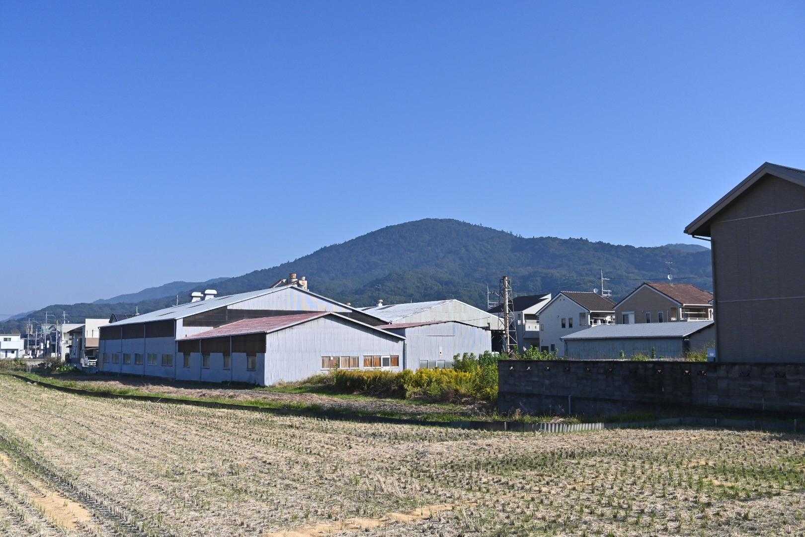 三輪山が見える😊