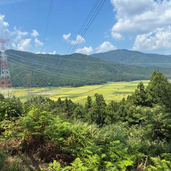 北側の景色