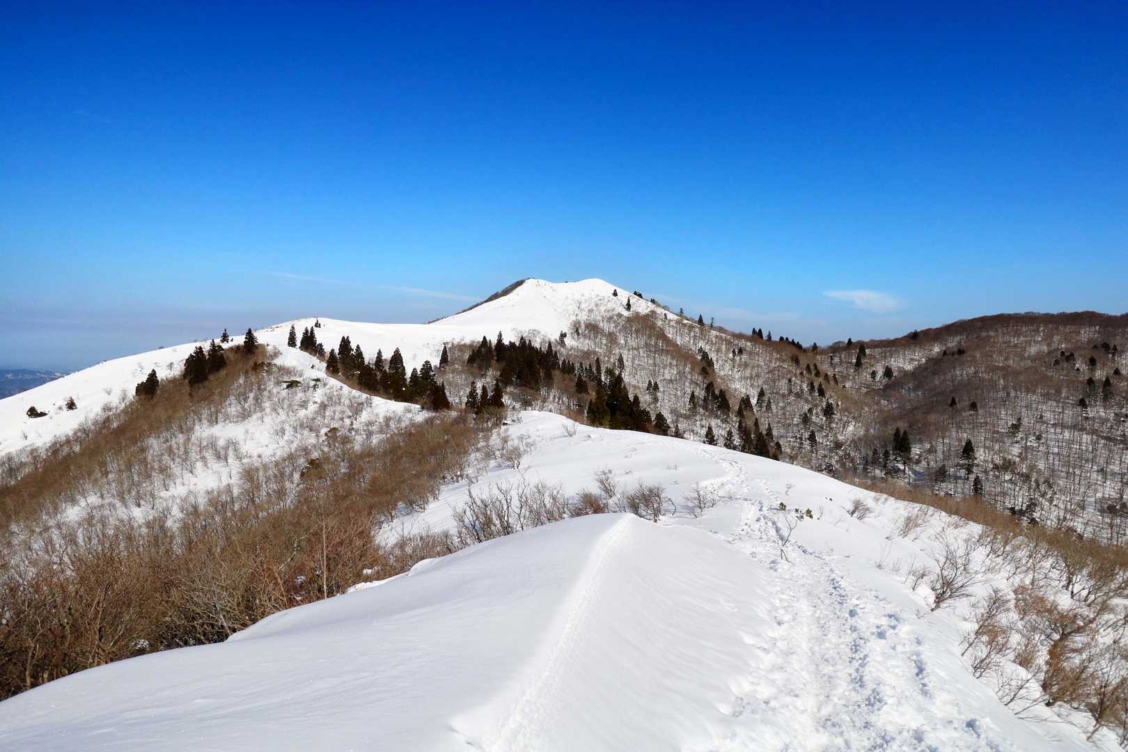 登り返しました。
武奈ヶ岳どどん。
青い✨