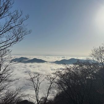 またまた見事な雲海☁️