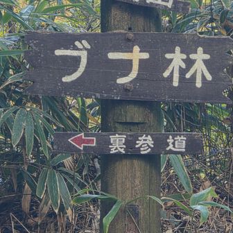 鳥さん沢山
