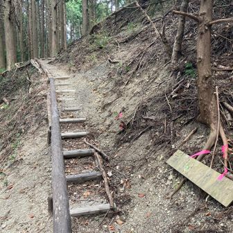 松葉山を目指します