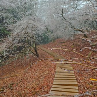 美しい景色でした❄⛄️
歩いてたからさほど寒くはなかったよ🥰
（今日は曇っていたので写真写り悪いですけど、ホントに綺麗でした❄😊）
（こちらをカバー写真候補で悩みました😃❄）