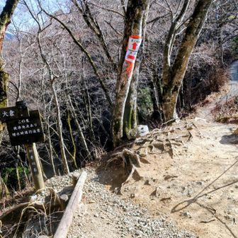 後沢乗越 の分岐‼️
鍋割山方面へ👍
帰りも間違えない様にしっかり覚えておこう🎵