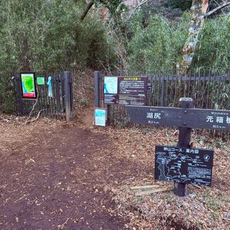 駐車場🅿️は300mくらい離れた所
3台くらい
平日なので2台のみ