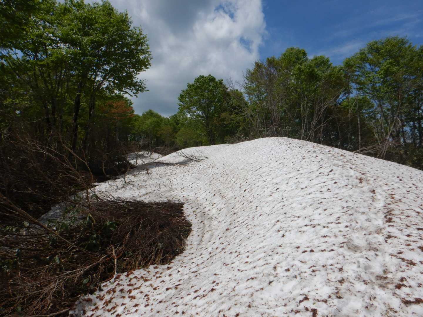 山頂手前に雪渓