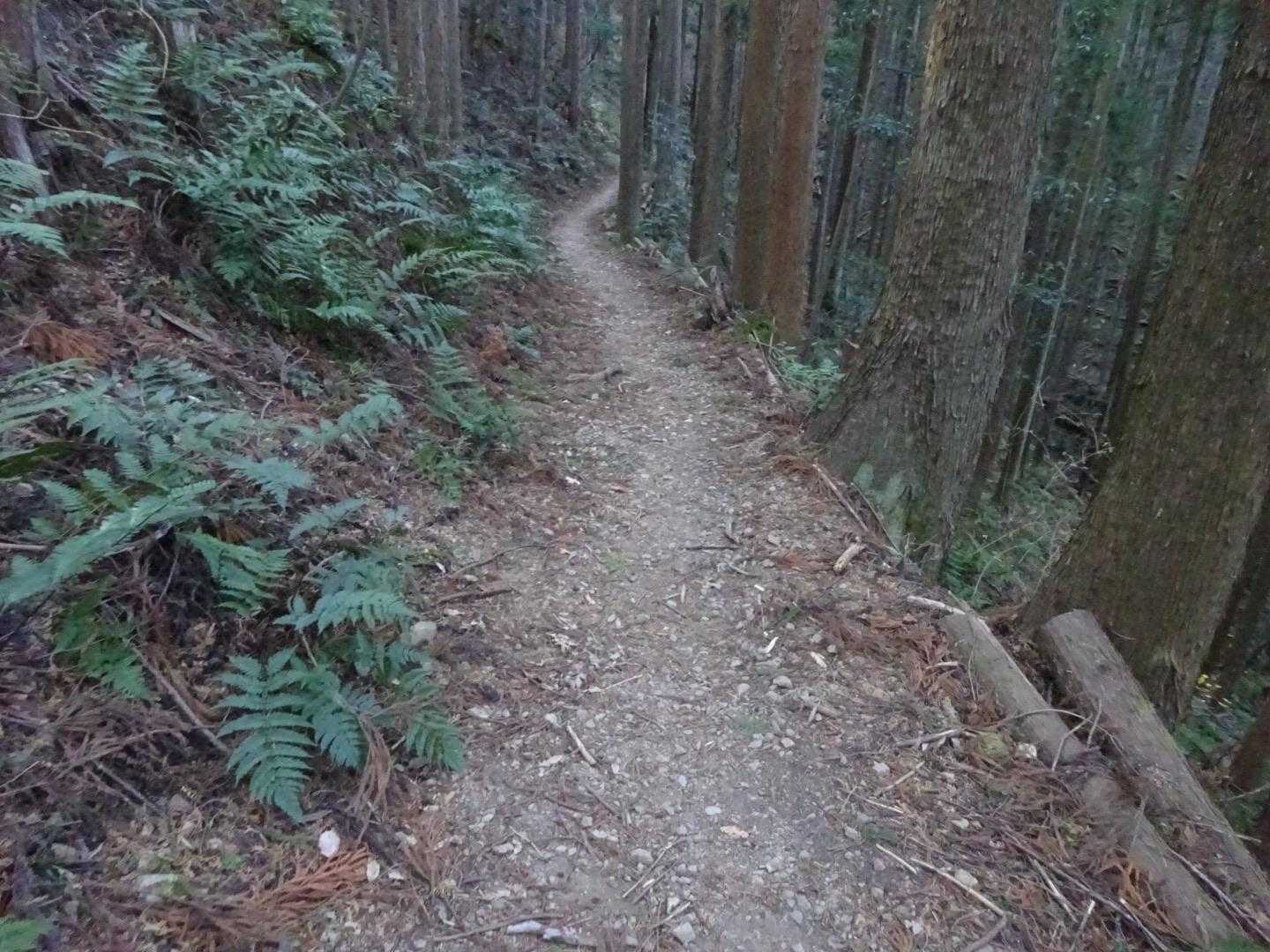 西吾野駅-子ノ山-豆口峠-竹寺 縦走コースの写真