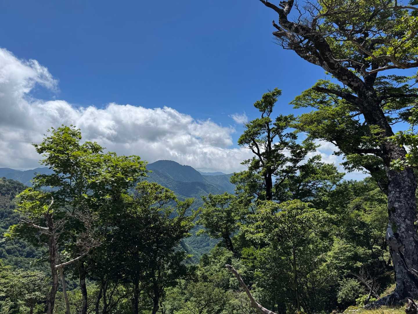 雲早山登山口-雲早山 往復コースの写真