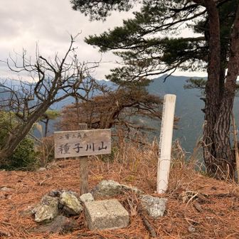 ⛰️⛰️
久方ぶり～
